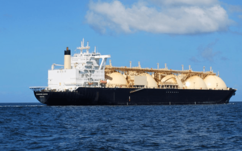 surrendered B/L是什么意思？（surblue是什么意思）