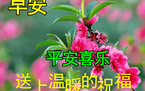 正月二十兔年大吉早上好祝福语图片大全，问候动态表情图片大全！