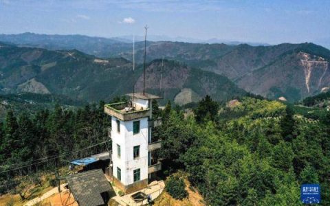 新华全媒+丨31载守塔人：我是森林的眼睛(守塔人百度百科)