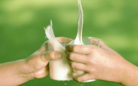 6岁以上儿童奶粉排行榜