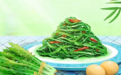 适合在小满吃的是什么苦菜？有什么功效？