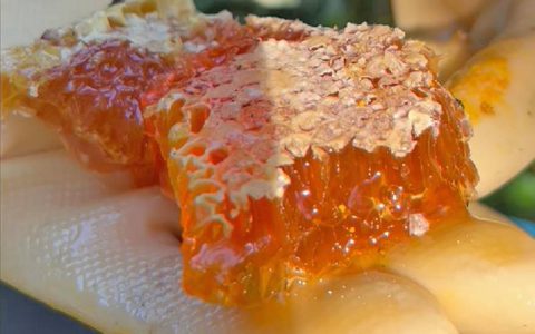 蜂蜜减肥法,适合我们懒人的减肥秘诀-蜂蜜减肥的正确吃法