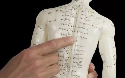 身体质量指数自己算 bmi女性标准你达标了吗(女性标准体质指数bmi为)