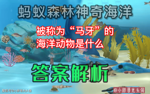 被称为“马牙”的海洋动物是什么？蚂蚁森林神奇海洋