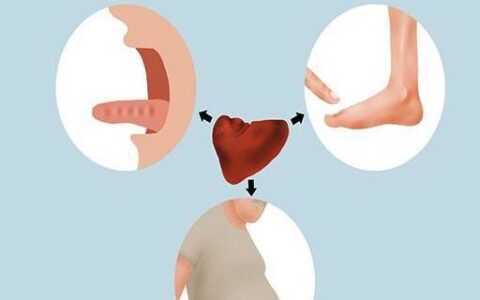 体内湿气重是咋回事？健脾祛湿的好方法，一文给你说清楚-体内湿气过重有什么好方法清除