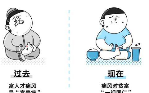 清朝林佩琴的桃红饮是调痛风的好方子，妙在它通络除痹，化瘀血