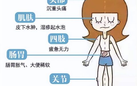 体内湿气重毛病一堆，怎么办？教你一招调理体内湿气，老少皆宜-体内湿气重的人怎么调理