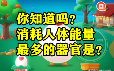 蚂蚁庄园：消耗人体能量最多的器官是啥？消耗人体能量最多的器官是什么呢？