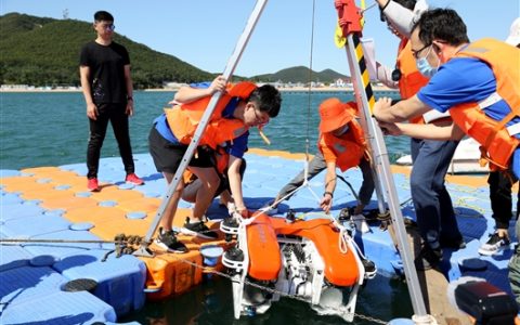 “章鱼”入海（章鱼ai）