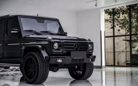 除了奥迪的壁虎，奔驰、宝马上的特殊符号你知道多少？(宝马特殊标志)