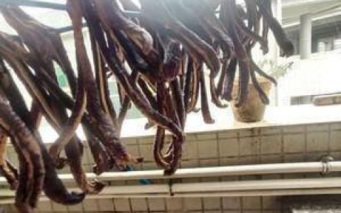 茄子干怎么炒好吃又简单-茄子干的做法大全 茄子干怎么做好吃