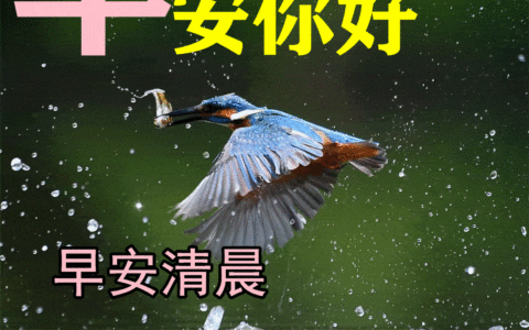 ​3月19日早上好祝福语图片及问候动态表情图片大全！玉文化， 玩玉的十大快乐，你是哪种？