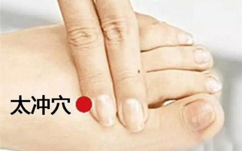 疗消化系统、心血管系统、泌尿生殖系统——太冲穴-消化系统,循环系统,和泌尿系统之间的联系