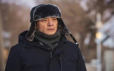 再见那一天一共多少集？