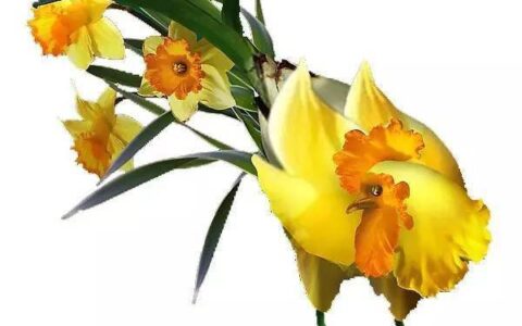 生气顺口溜，说的太好了！-不值得生气的经典句子