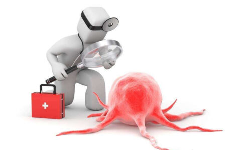 癌症病人的饮食营养常见问题①　可以吃海参吗？-癌症患者能吃海参吗,需要肿瘤医院大夫的回答