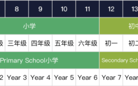深度揭秘：英国大学“敲门砖”A Level课程=洋高考？传闻要变天？（英国大学new castle）