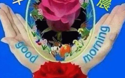 2019最新版早上好短信问候祝福语录大全，早晨好温馨祝福语录图片表情-早上好的问候句子短语