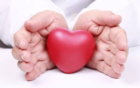 大脑和心脏中，消耗人体能量最多的器官是什么？