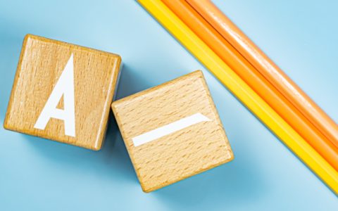 国产大模型的100种可能-国产模型厂商