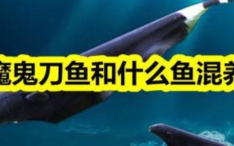 魔鬼刀鱼跟什么鱼混养（魔鬼刀和什么热带鱼不能混养）