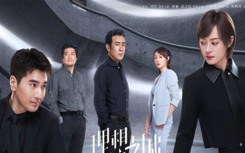 理想之城多少集一共