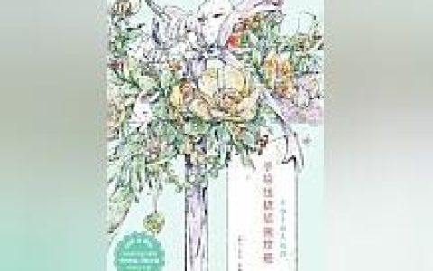 强推最有价值的小说《小枣子的小视界：手绘线稿插画攻略》，一生必读！-小枣子努力画画