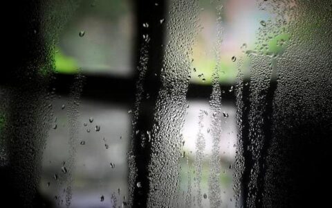 体内湿气重的6个信号，占2个就要排湿了，2方法祛湿快彻底-体内湿气重怎么排湿