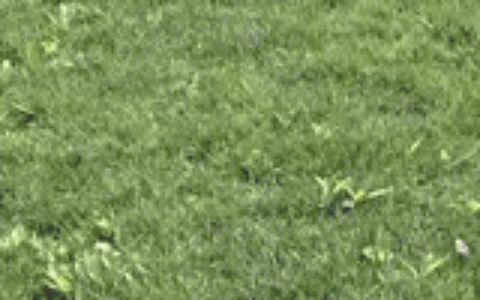 官宣！2019上半年四六级成绩查询时间定了！（附超全查分攻略）(2019年英语四六级成绩查询入口)