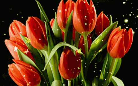 最新版早晨好表情问候祝福语大全,早上好动态祝福图片大全-最新的早上好问候祝福语动态图片大全集