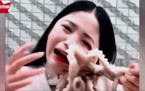 姑娘在直播吃活章鱼，结果章鱼跟她拼了……（女主播吃播活章鱼）