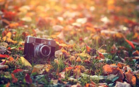 全民学英语| 今日话题——初中英语词组（短语）及固定搭配大全-初一英语固定搭配短语大全