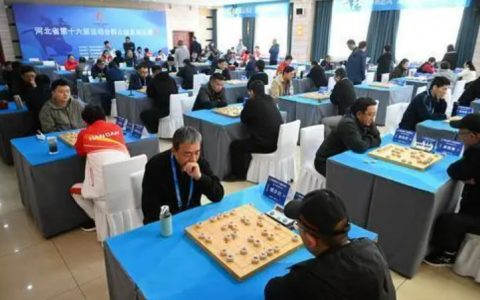 【聚焦河北省第十六届运动会】优异成绩的背后——访市象棋队教练武震(河北省象棋赛历届冠军)