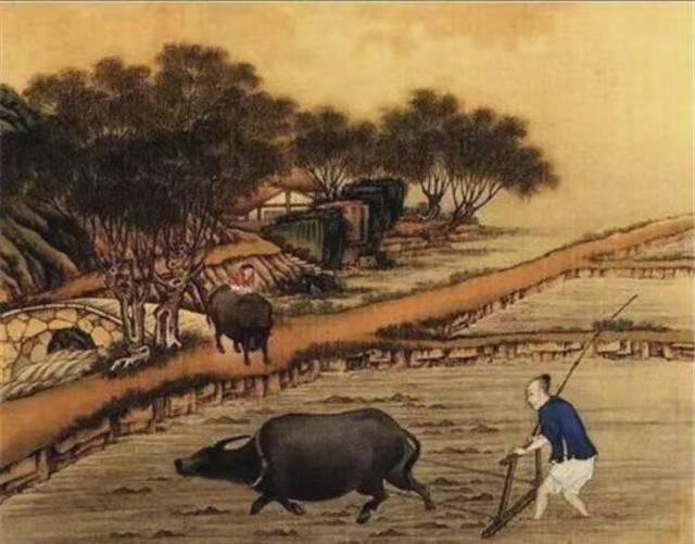 俗话说“有福之人两腿毛，无福之人毛两腿”，究竟是什么意思