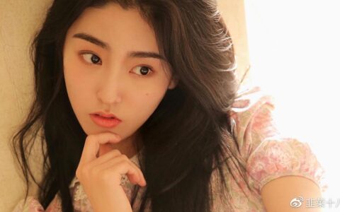 鸡和狗为什么是上婚 生肖合拍协助互补-鸡和狗为啥不合