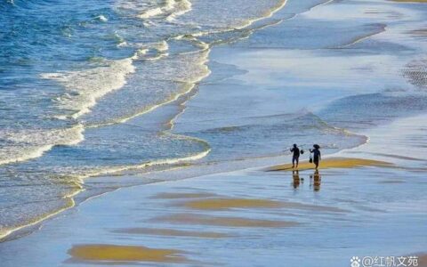 龃龉与龌龊，能够读准用好吗？(和怎么读拼音组词)