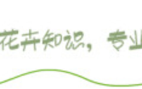 有品位的人都养这3种花，放在家里装饰效果好，观赏性也强(适合放在家里养的花)