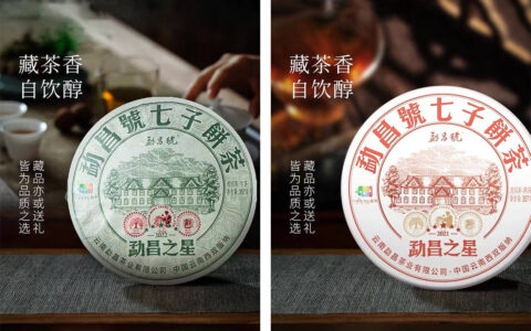 生普洱茶和熟普洱茶的区别，你知道吗？-生普洱茶和熟普洱茶哪个好?