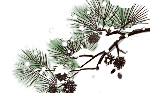 “AQA更简单，爱德思更多学习资源，所以Alevel数学应该选哪个考试局？”（爱德思数学考试时间2023）