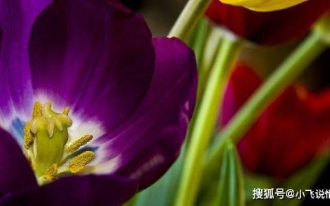 未来10天，3大生肖运势大改变，东山再起（十二生肖排序年龄2023年）