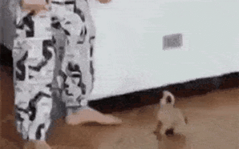 爆笑动图：不知道是你家的马桶质量不好，还是因为酒瓶子太结实了