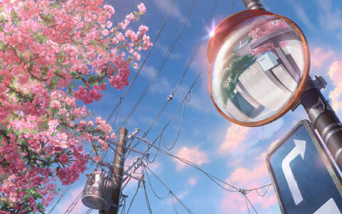 期权的沽和购是什么意思？