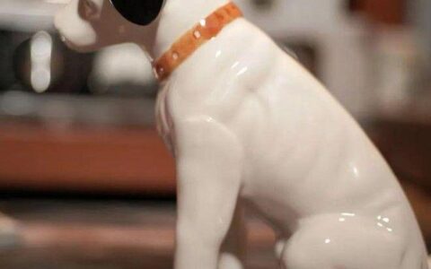 hmv香港打造行业市场领导者 领导者是什么意思-香港vea