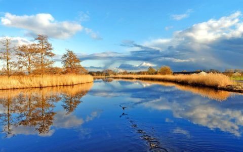 财运旺、家运旺、紫旺、事业腾飞的3生肖