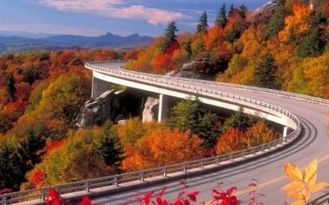 脑筋急转弯：什么东西长了毛之后就成熟了？这答案令人笑岔气！