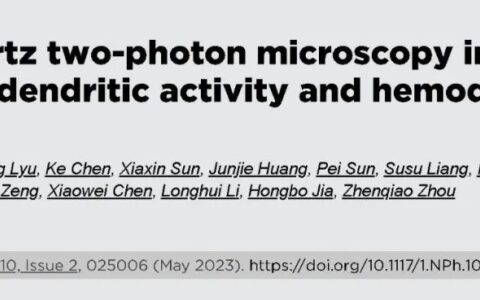 重庆大学李龙辉等建立万赫兹超快双光子显微镜，助力大脑活体成像(重庆大学经管学院龙勇)