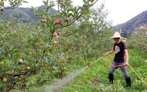 叶面肥价格多少钱一斤？叶面肥厂家哪家好？果蔬叶面肥哪种好？（叶面肥的用途）