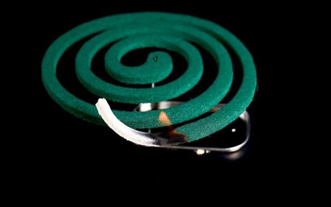 除了蚊香和电蚊拍，这些天敌也可以帮你赶走蚊子！-灭蚊蝇喷雾对人体危害