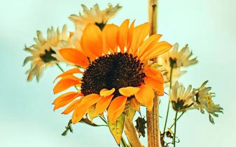 当一个男人，忍住不联系你时，说明一个“真相”（一个男人忍着不联系你说明你在他心里可有可无）