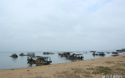 好听的网名大全（1350个），2022年好听的网名分享